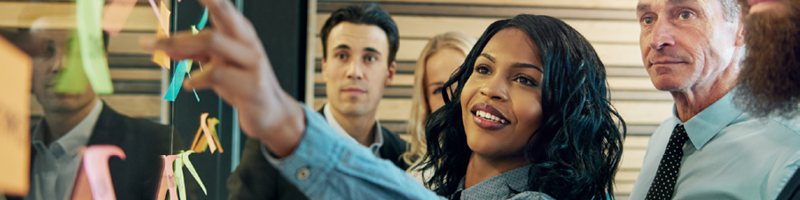 Human Services Integration Banner Image