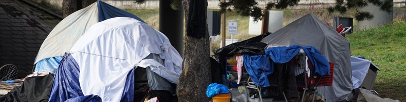 Homelessness Banner Image Homelessness Banner Image